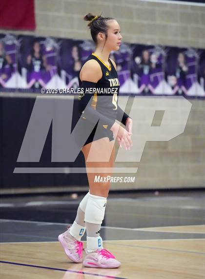 Thumbnail 3 in Gateway College Preparatory vs. Sealy (UIL 4A D2 Volleyball Area Playoff) photogallery.