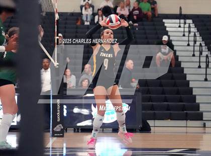 Thumbnail 3 in Gateway College Preparatory vs. Sealy (UIL 4A D2 Volleyball Area Playoff) photogallery.
