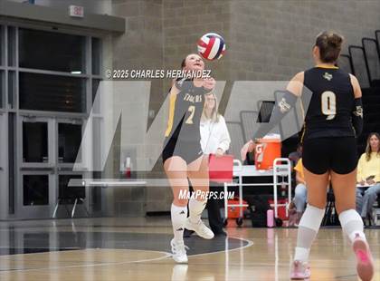 Thumbnail 1 in Gateway College Preparatory vs. Sealy (UIL 4A D2 Volleyball Area Playoff) photogallery.