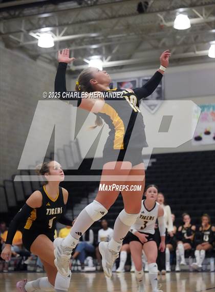 Thumbnail 3 in Gateway College Preparatory vs. Sealy (UIL 4A D2 Volleyball Area Playoff) photogallery.