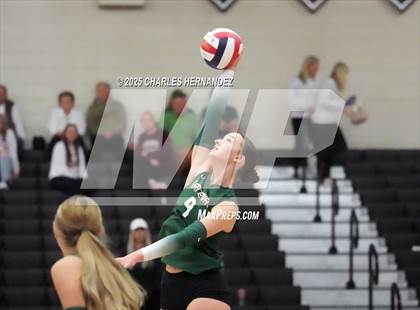 Thumbnail 1 in Gateway College Preparatory vs. Sealy (UIL 4A D2 Volleyball Area Playoff) photogallery.