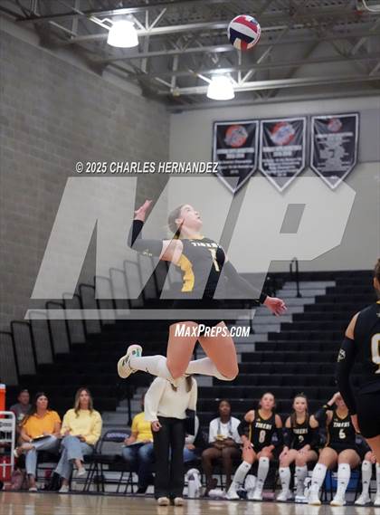 Thumbnail 2 in Gateway College Preparatory vs. Sealy (UIL 4A D2 Volleyball Area Playoff) photogallery.