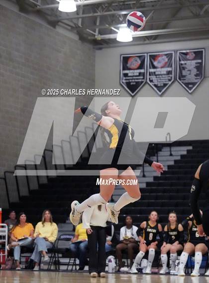 Thumbnail 3 in Gateway College Preparatory vs. Sealy (UIL 4A D2 Volleyball Area Playoff) photogallery.