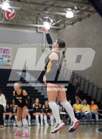 Thumbnail 2 in Gateway College Preparatory vs. Sealy (UIL 4A D2 Volleyball Area Playoff) photogallery.