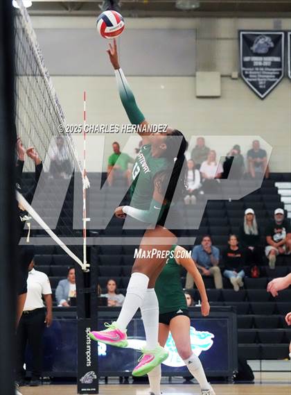 Thumbnail 3 in Gateway College Preparatory vs. Sealy (UIL 4A D2 Volleyball Area Playoff) photogallery.