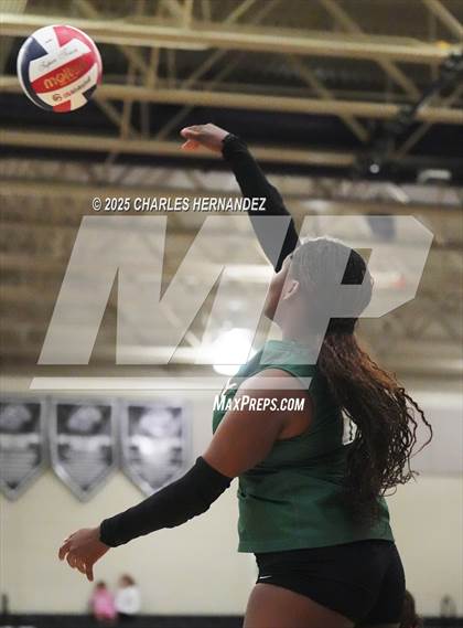 Thumbnail 2 in Gateway College Preparatory vs. Sealy (UIL 4A D2 Volleyball Area Playoff) photogallery.