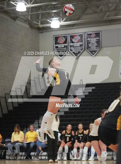 Thumbnail 3 in Gateway College Preparatory vs. Sealy (UIL 4A D2 Volleyball Area Playoff) photogallery.