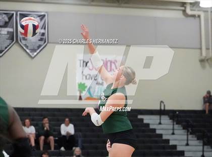 Thumbnail 2 in Gateway College Preparatory vs. Sealy (UIL 4A D2 Volleyball Area Playoff) photogallery.
