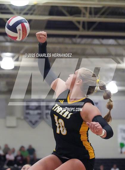 Thumbnail 3 in Gateway College Preparatory vs. Sealy (UIL 4A D2 Volleyball Area Playoff) photogallery.