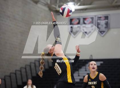Thumbnail 3 in Gateway College Preparatory vs. Sealy (UIL 4A D2 Volleyball Area Playoff) photogallery.