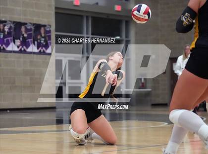 Thumbnail 3 in Gateway College Preparatory vs. Sealy (UIL 4A D2 Volleyball Area Playoff) photogallery.