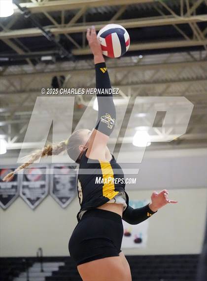 Thumbnail 3 in Gateway College Preparatory vs. Sealy (UIL 4A D2 Volleyball Area Playoff) photogallery.