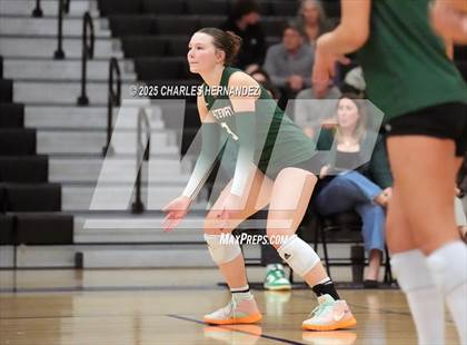 Thumbnail 3 in Gateway College Preparatory vs. Sealy (UIL 4A D2 Volleyball Area Playoff) photogallery.