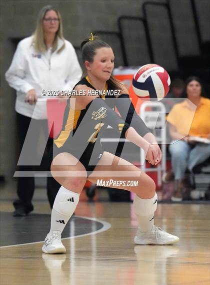 Thumbnail 1 in Gateway College Preparatory vs. Sealy (UIL 4A D2 Volleyball Area Playoff) photogallery.