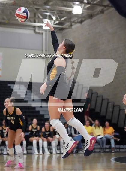 Thumbnail 1 in Gateway College Preparatory vs. Sealy (UIL 4A D2 Volleyball Area Playoff) photogallery.