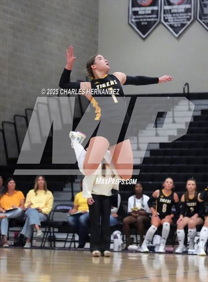 Thumbnail 3 in Gateway College Preparatory vs. Sealy (UIL 4A D2 Volleyball Area Playoff) photogallery.