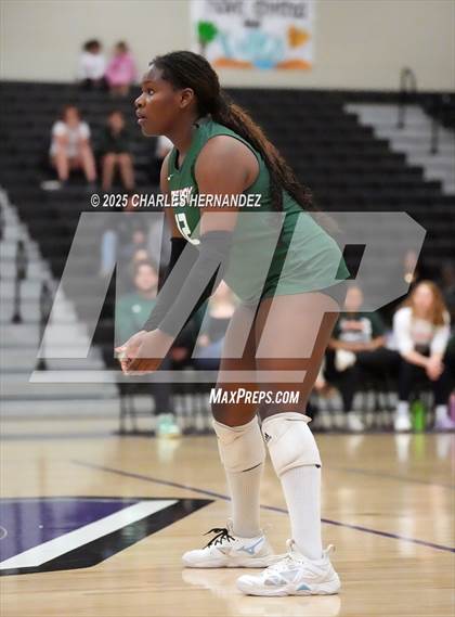 Thumbnail 3 in Gateway College Preparatory vs. Sealy (UIL 4A D2 Volleyball Area Playoff) photogallery.