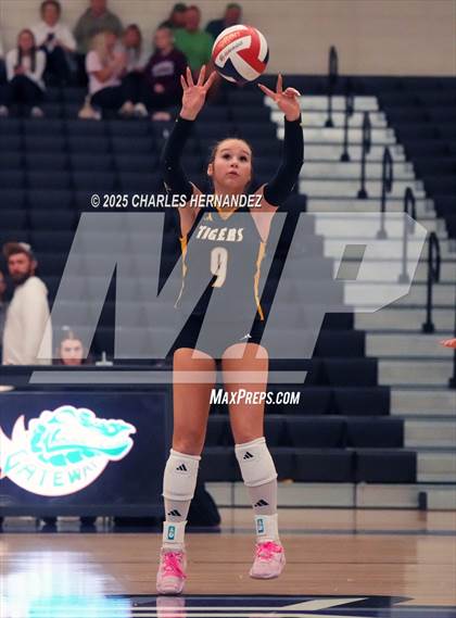 Thumbnail 3 in Gateway College Preparatory vs. Sealy (UIL 4A D2 Volleyball Area Playoff) photogallery.