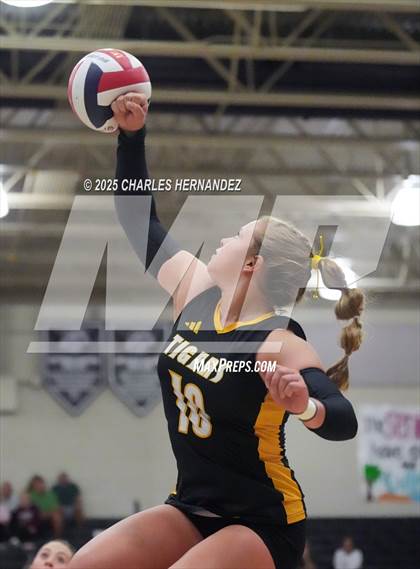 Thumbnail 2 in Gateway College Preparatory vs. Sealy (UIL 4A D2 Volleyball Area Playoff) photogallery.