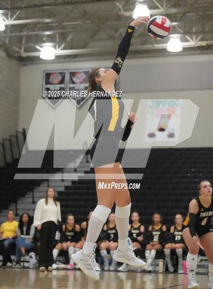 Thumbnail 3 in Gateway College Preparatory vs. Sealy (UIL 4A D2 Volleyball Area Playoff) photogallery.