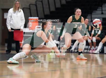 Thumbnail 2 in Gateway College Preparatory vs. Sealy (UIL 4A D2 Volleyball Area Playoff) photogallery.