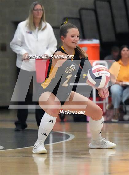 Thumbnail 3 in Gateway College Preparatory vs. Sealy (UIL 4A D2 Volleyball Area Playoff) photogallery.