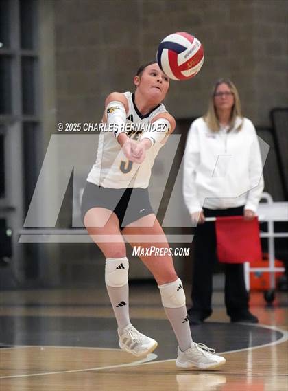 Thumbnail 2 in Gateway College Preparatory vs. Sealy (UIL 4A D2 Volleyball Area Playoff) photogallery.