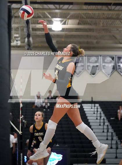 Thumbnail 2 in Gateway College Preparatory vs. Sealy (UIL 4A D2 Volleyball Area Playoff) photogallery.