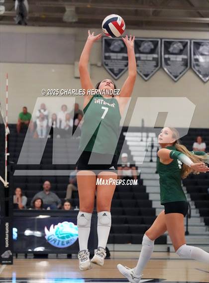 Thumbnail 1 in Gateway College Preparatory vs. Sealy (UIL 4A D2 Volleyball Area Playoff) photogallery.