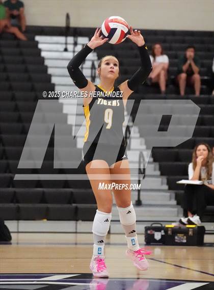 Thumbnail 2 in Gateway College Preparatory vs. Sealy (UIL 4A D2 Volleyball Area Playoff) photogallery.