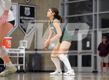 Thumbnail 3 in Gateway College Preparatory vs. Sealy (UIL 4A D2 Volleyball Area Playoff) photogallery.