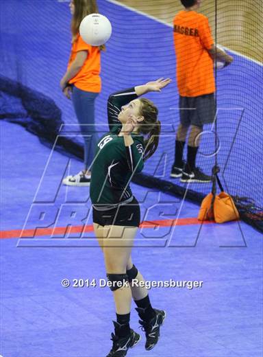 null - Photo 61