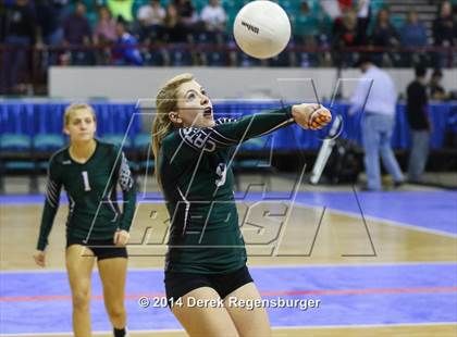 Thumbnail 1 in Fleming vs Idalia (CHSAA 1A Final) photogallery.