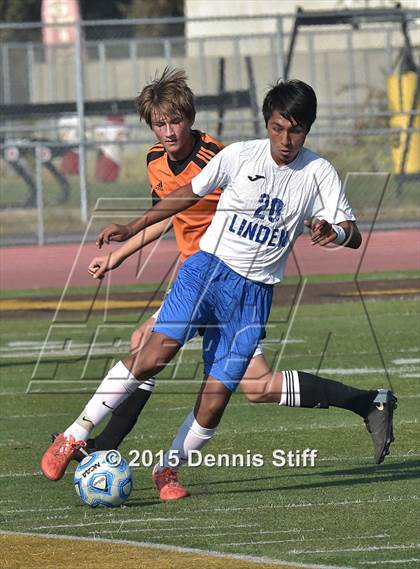 Thumbnail 1 in Summerville vs. Linden (CIF SJS D5 Final) photogallery.