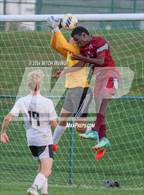 Photo from the gallery "Cascade vs. Danville"