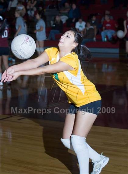 Thumbnail 1 in Davis vs. Modesto photogallery.