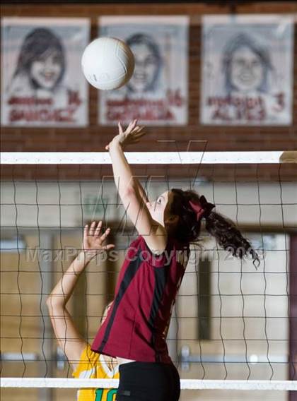 Thumbnail 1 in Davis vs. Modesto photogallery.