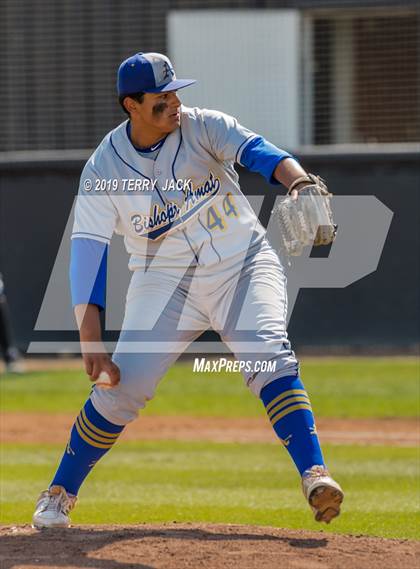 Thumbnail 1 in Huntington Beach vs. Bishop Amat (CIF Southern Section D1 Round 2 Playoff) photogallery.