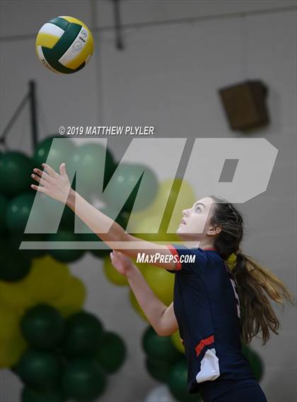 Thumbnail 2 in Terry Sanford @ Pine Forest photogallery.