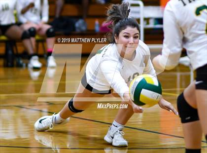 Thumbnail 3 in Terry Sanford @ Pine Forest photogallery.