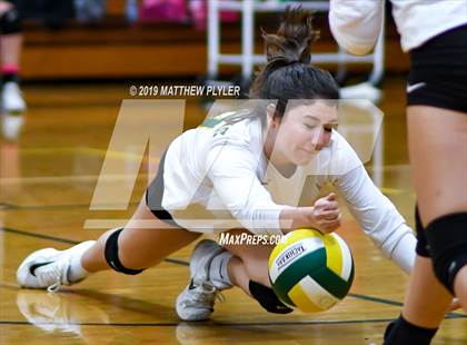 Thumbnail 1 in Terry Sanford @ Pine Forest photogallery.
