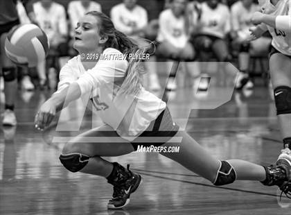 Thumbnail 1 in Terry Sanford @ Pine Forest photogallery.
