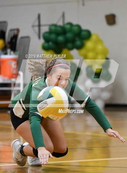 Thumbnail 1 in Terry Sanford @ Pine Forest photogallery.