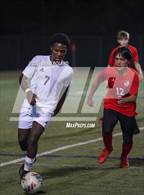 Photo from the gallery "Baker @ Theodore"