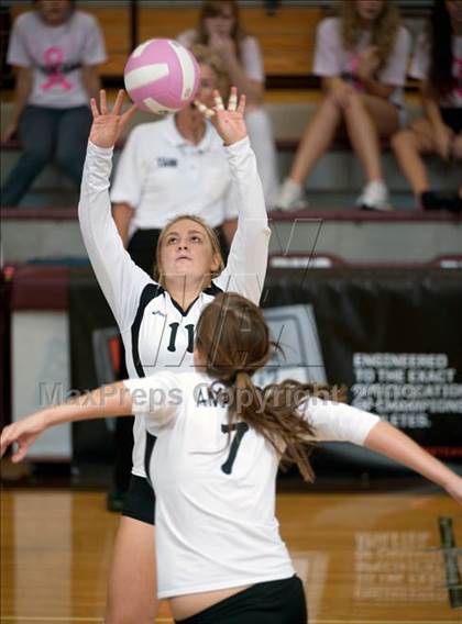 Thumbnail 2 in Amarillo @ Dulles (Pearland Volleyball Classic) photogallery.