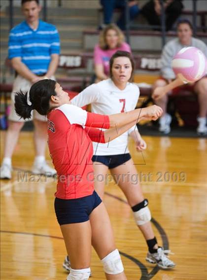 Thumbnail 3 in Amarillo @ Dulles (Pearland Volleyball Classic) photogallery.