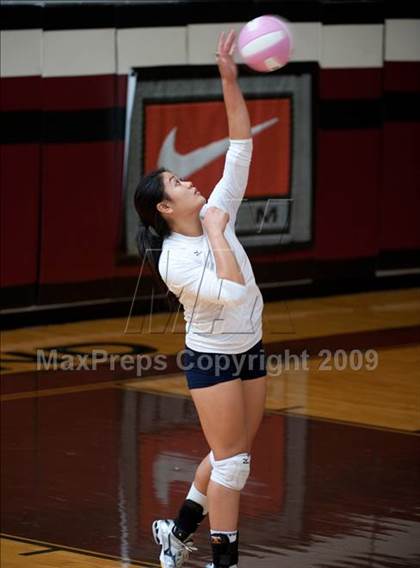Thumbnail 3 in Amarillo @ Dulles (Pearland Volleyball Classic) photogallery.
