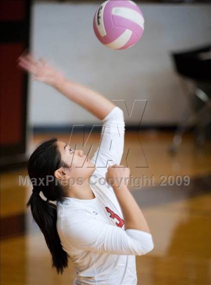 Thumbnail 3 in Amarillo @ Dulles (Pearland Volleyball Classic) photogallery.