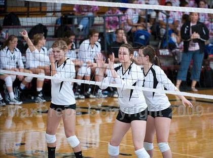 Thumbnail 3 in Amarillo @ Dulles (Pearland Volleyball Classic) photogallery.