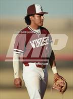Photo from the gallery "Windsor @ Roosevelt"
